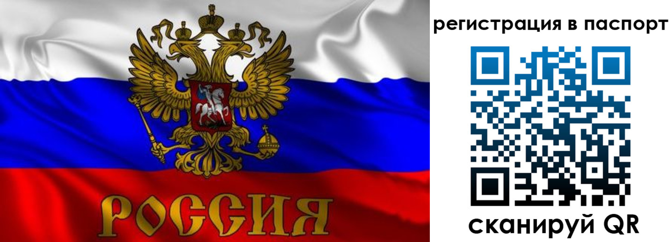 найти адрес прописки в Апатитах